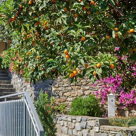 B&B Villa Karen * Alassio